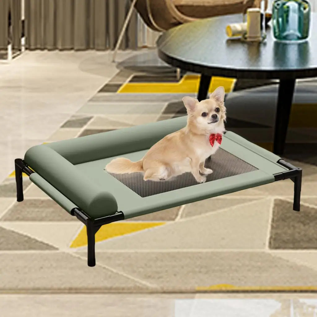 Elevated Pet Bed Durability Practical with Pillow for Small Pets Dogs Kitten Cat Dog Bed Dog Cat Bed Portable