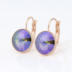New Fashion Earrings Crystals Drop Earrings 12mm Round Earrings For Women Wedding Party Luxury Fine Jewelry Accessories