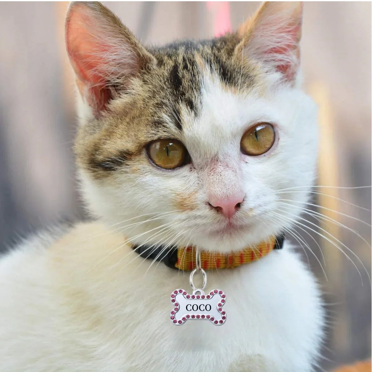 Custom Tags VIP Customizable Engraved Pets ID Tag for Dog Cat Bronze Nameplate Tags Personalized  Address Number Dogs Collar ID Pendant