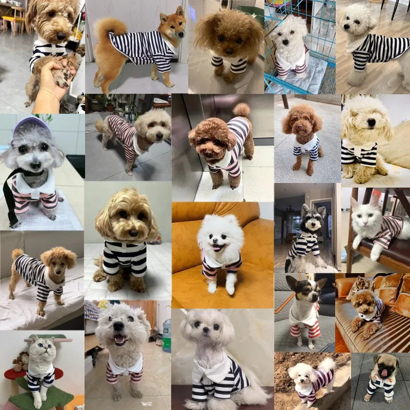 name-branded clothes Fashion Pet Dog Striped Shirt Summer Puppy Clothes Cute Cat Vest Breathable Dog Thin Shirt Pet Kitten Clothing Chihuahua Clothes