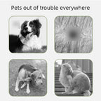 Pet essential oil collar, Pet Collar washable, cat collar with adjustable buckle, dog collar, pet accessory, sturdy and durable, cat collar