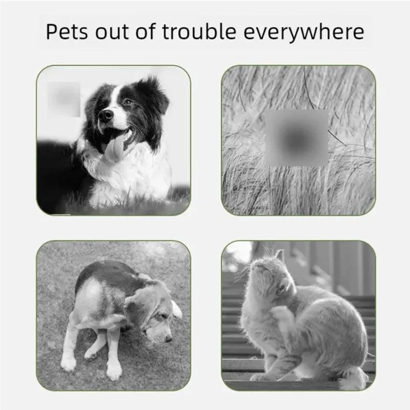 Pet essential oil collar, Pet Collar washable, cat collar with adjustable buckle, dog collar, pet accessory, sturdy and durable, cat collar