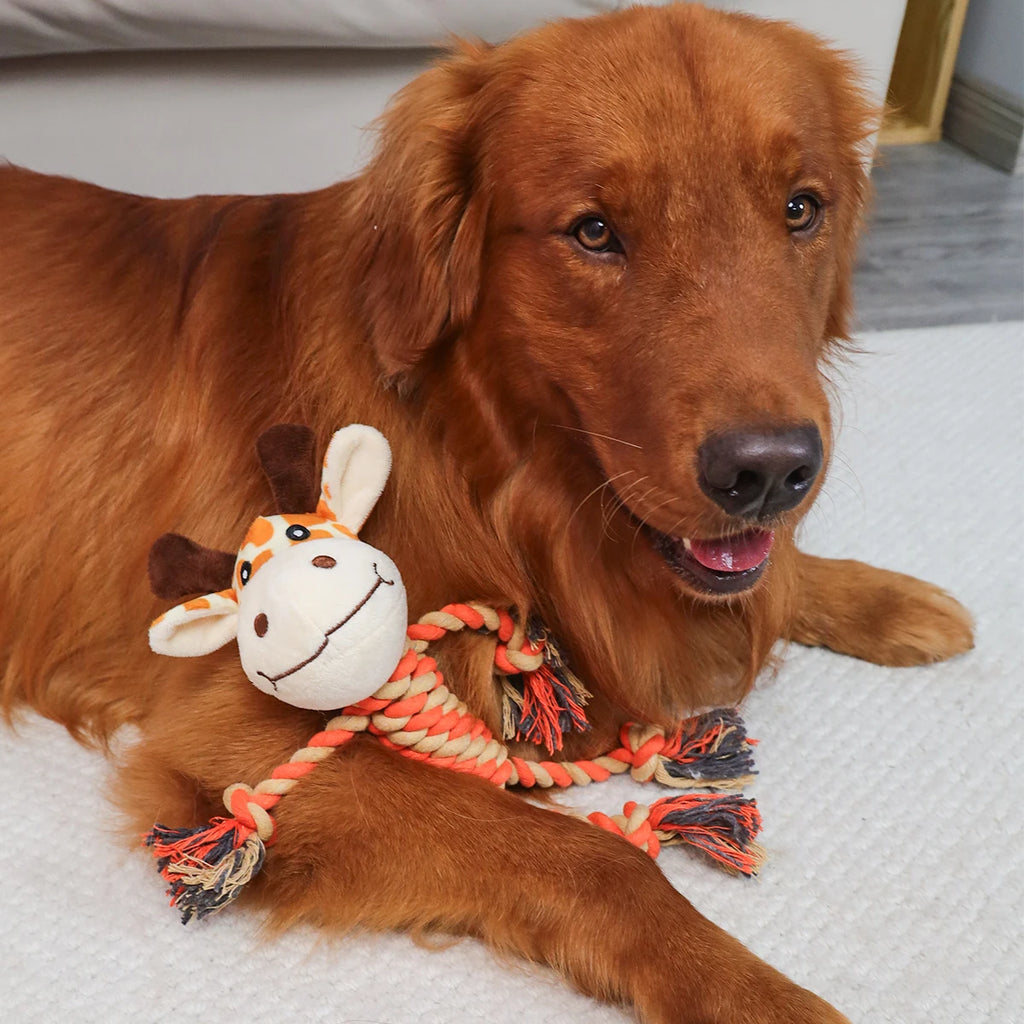 1PC plush dog toy, cute animal shape, chew-resistant teether, pet toy