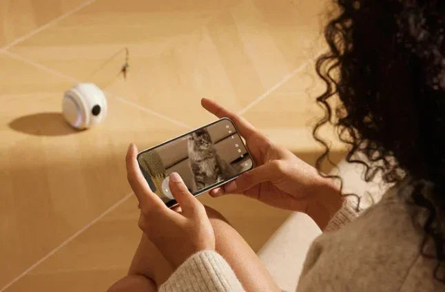 Interactive HD Pet came with Rolling Ball Toy inligent Home monit Featuring las Spot and Pet Movements Pet sounds