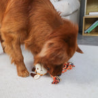 1PC plush dog toy, cute animal shape, chew-resistant teether, pet toy