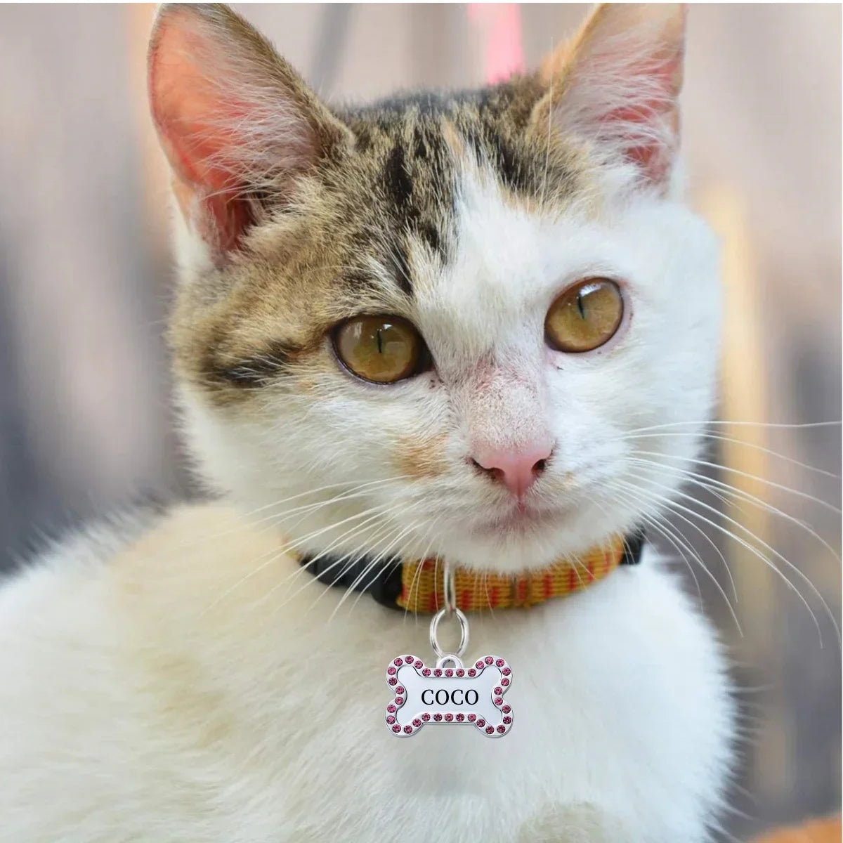 VIP Customizable Engraved Pets ID Tag for Dog Cat Bronze Nameplate Tags Personalized  Address Number Dogs Collar ID Pendant Custom Tags