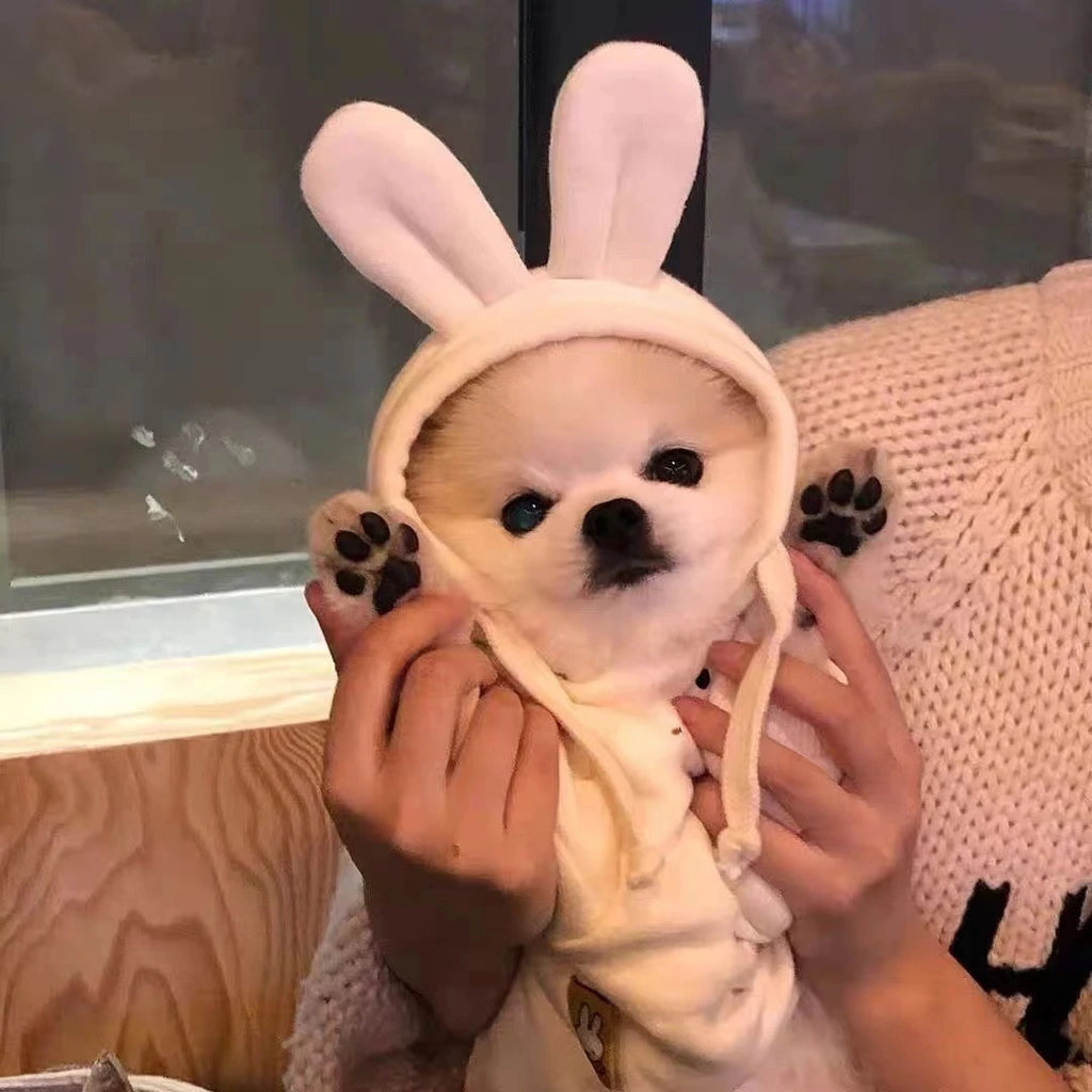 Pet Hooded Ear Hoodie Dog Clothes for Autumn and Winter Teddy Bear Pet Pullover Hoodie Cute Base Shirt Puppy Clothes
