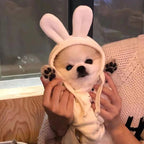 Pet Hooded Ear Hoodie Dog Clothes for Autumn and Winter Teddy Bear Pet Pullover Hoodie Cute Base Shirt Puppy Clothes