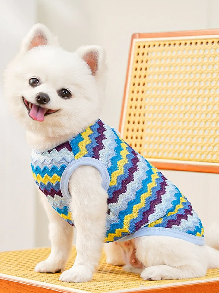 name-branded Pet Cat Clothes Breathable Kitty Clothing Dogs Soft Vests Summer Shirt Casual T-Shirt for Small Pet Costume Supplies Wholesale