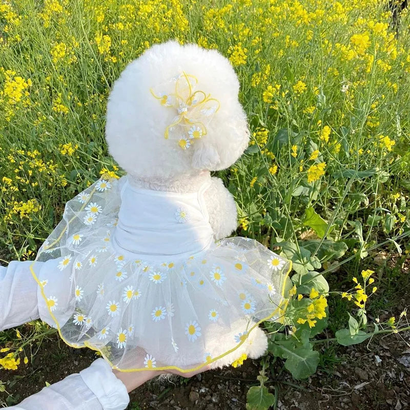 Pet Dresses Cute Pet Dog Dress for Small Dogs Thin Puppy Princess Skirt Dog Clothes Chihuahua York Clothing Pet Supplies