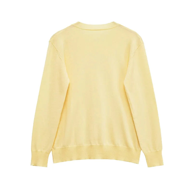 Women's knitted sweater  new long sleeve super soft wool knit sweater  autumn winter casual top