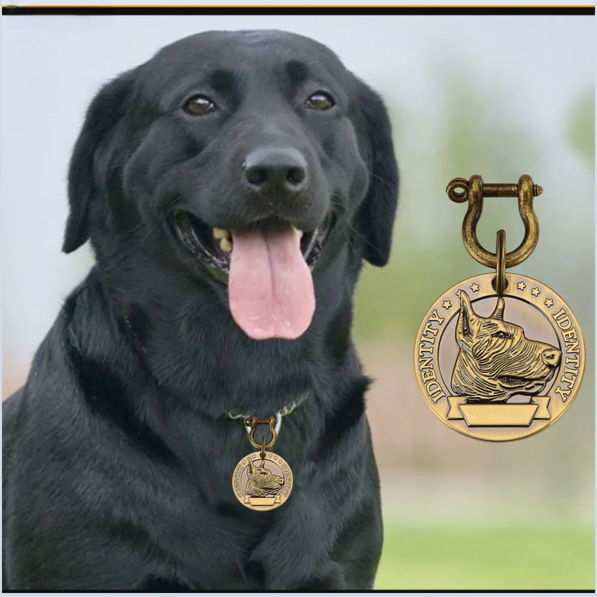 VIP Customizable Engraved Pets ID Tag for Dog Cat Bronze Nameplate Tags Personalized  Address Number Dogs Collar ID Pendant Custom Tags