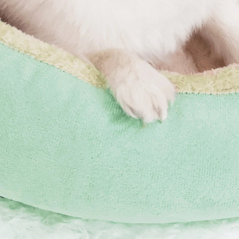 Cat & Dog Beds Oval shaped pet nest All Houses Supplies Things Habitats Basket House Beds Pet Products Cushion Goods Accessories Pet Bed