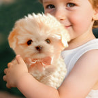 Robot Dog Plush Electronic Puppy Toy Electronic Interactive Stuffed Robotic Animal Toy For Teens Boys Kid Girls Toddler