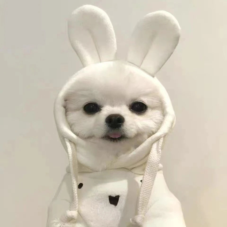 Pet Hooded Ear Hoodie Dog Clothes for Autumn and Winter Teddy Bear Pet Pullover Hoodie Cute Base Shirt Puppy Clothes