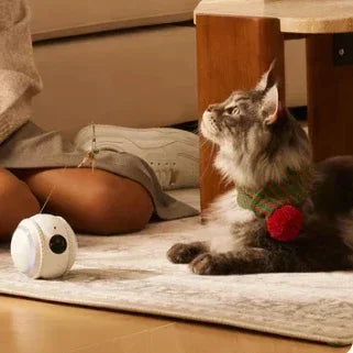 Interactive HD Pet came with Rolling Ball Toy inligent Home monit Featuring las Spot and Pet Movements Pet sounds