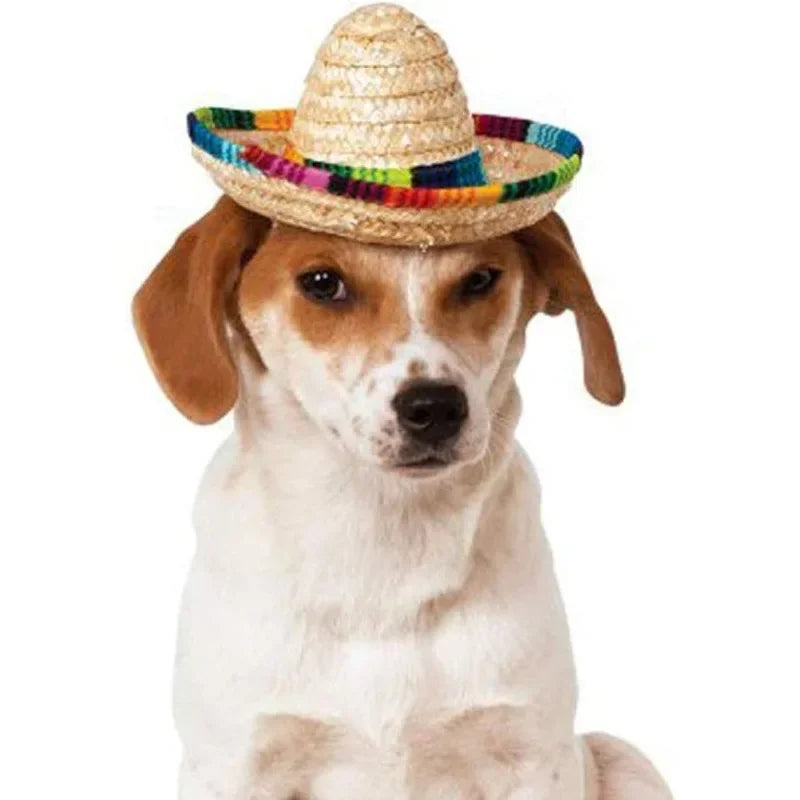 Pet Hat Dog & Cat Straw Sombrero Hat Funny Mexican Sombrero Cap Mini Hat Dog Clothes Pet Caps for Halloween Party Photo Props