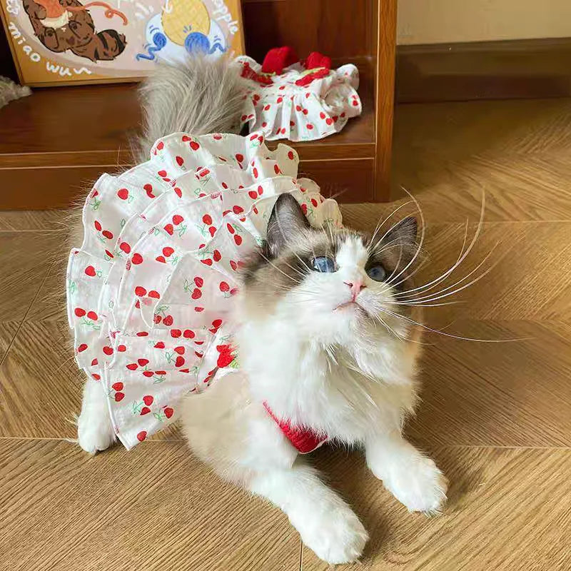Pet Dress Pet Dresses for Dogs & Cats - Layered Cake Style Printed Clothes, Small Medium Breed Apparel, Adorable Summer Outfit
