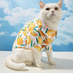 name-branded clothes Pet clothes, dog and cat shirts, lightweight, breathable, comfortable, orange pattern, simple, generous, fresh and cute, suitabl