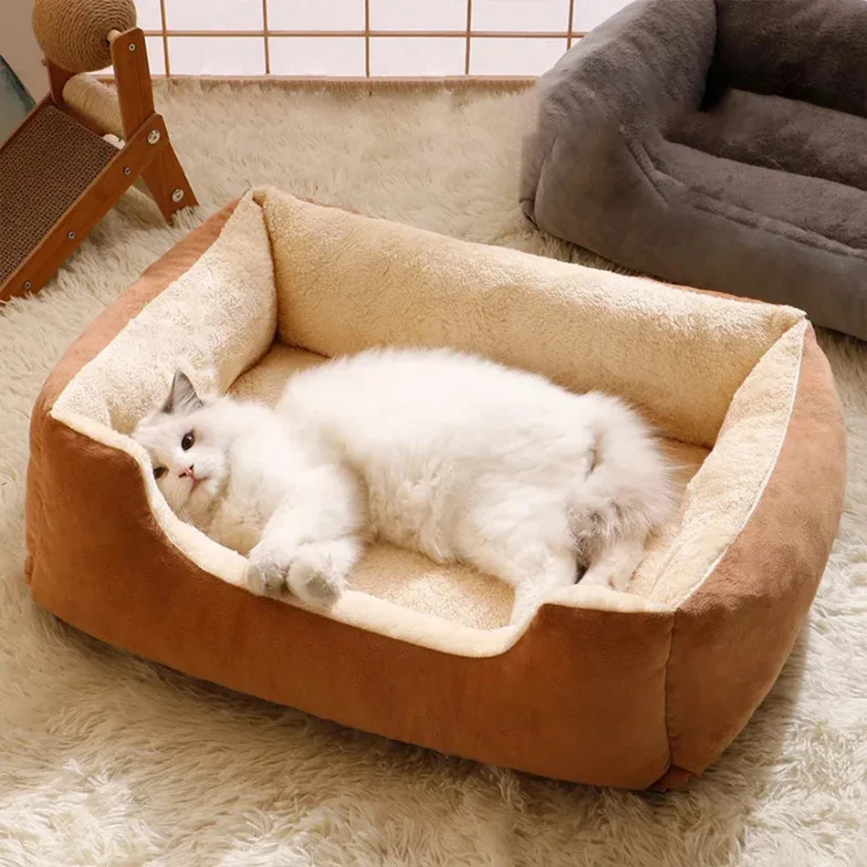 Pet Bed  Cats Pet Products Cushions Kitten Goods Accessories Dog All Home Supplies Things Accessory Habitats Basket House Beds
