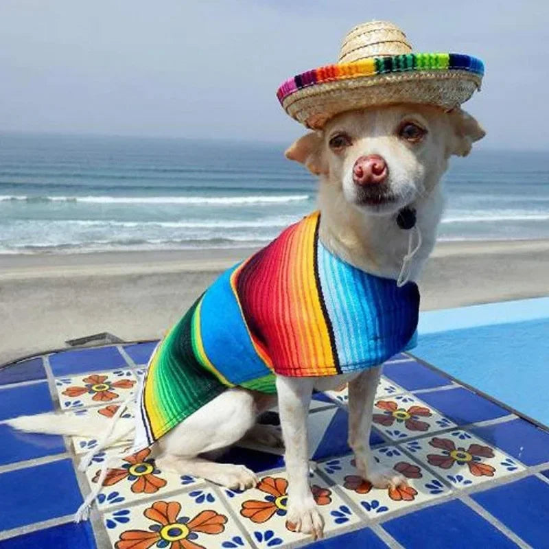 Pet Hat Dog & Cat Straw Sombrero Hat Funny Mexican Sombrero Cap Mini Hat Dog Clothes Pet Caps for Halloween Party Photo Props