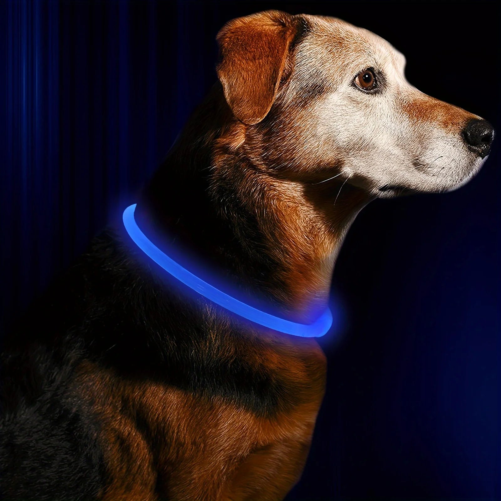 Pet Dog LED Light Collar Luminous Anti-Lost Dog Collar Pet Collar USB Rechargeable Dog Necklace Collar