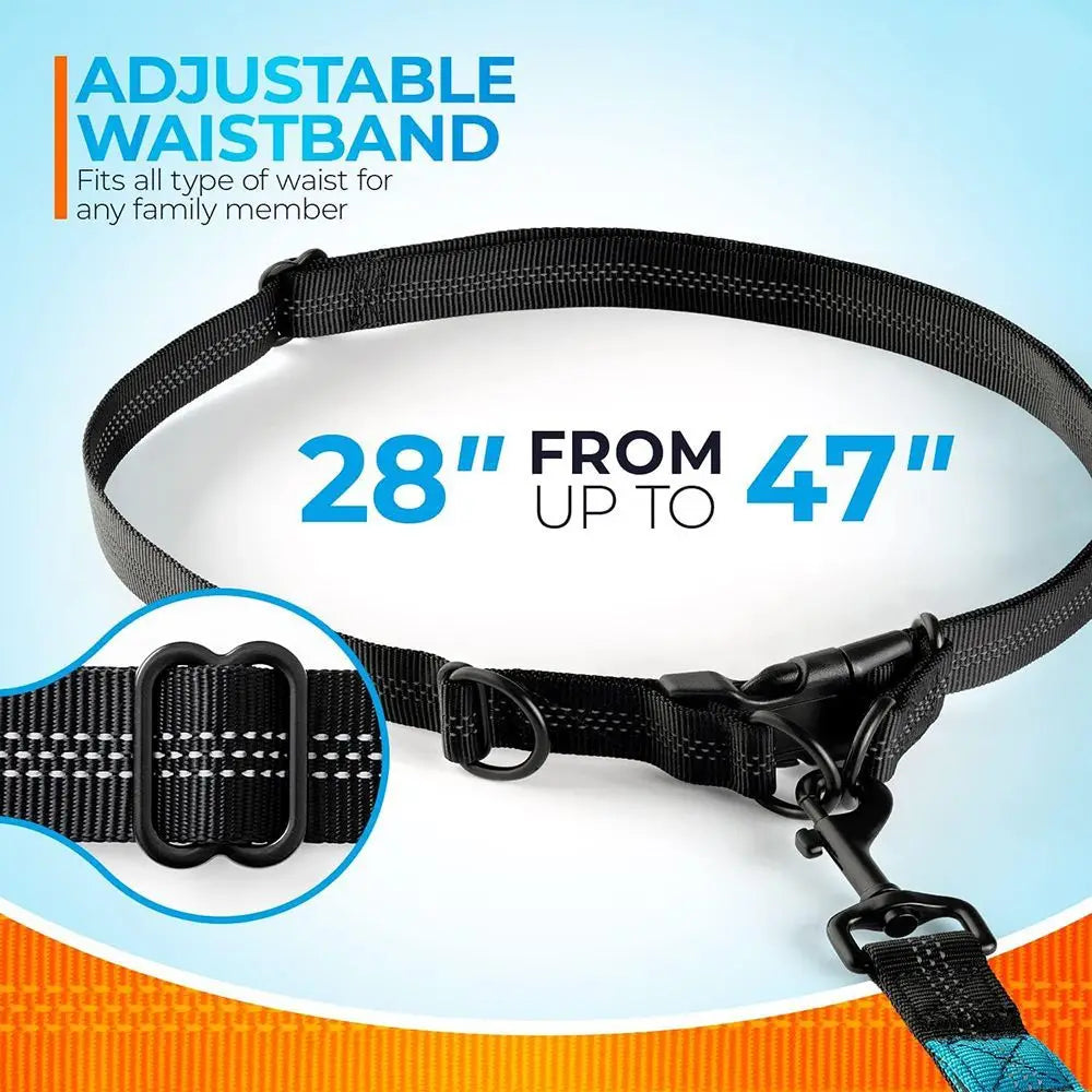 Pet Leash Pet Leash, Portable Running Sports Leash, Reflective Two-hand Handle Retractable Dog Leash, Dog Chain Leash