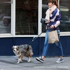 Pet Leash Pet Leash, Portable Running Sports Leash, Reflective Two-hand Handle Retractable Dog Leash, Dog Chain Leash