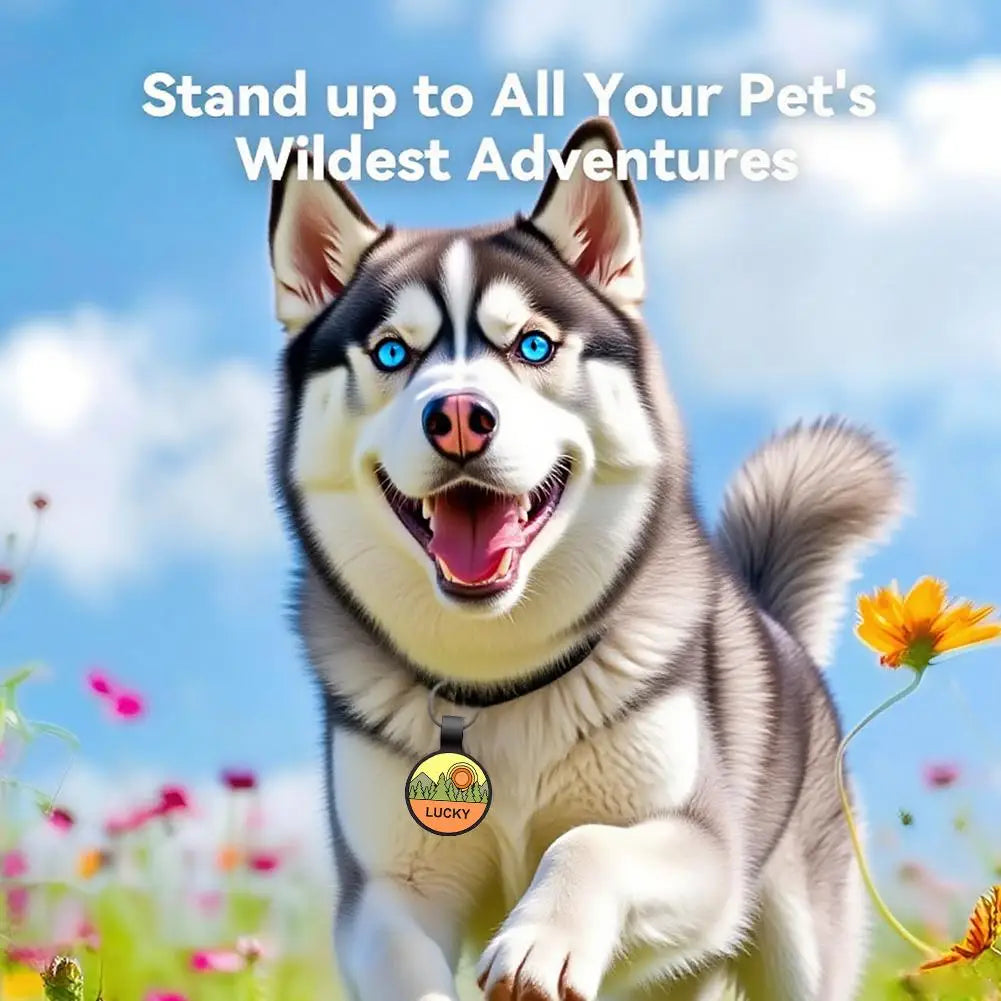 Custom Tags Engraved Silicone Pet Tags Creative Unique Soft Silicone Pet Collar Pendant Anti-lost Collar Personalized Pet Supplies