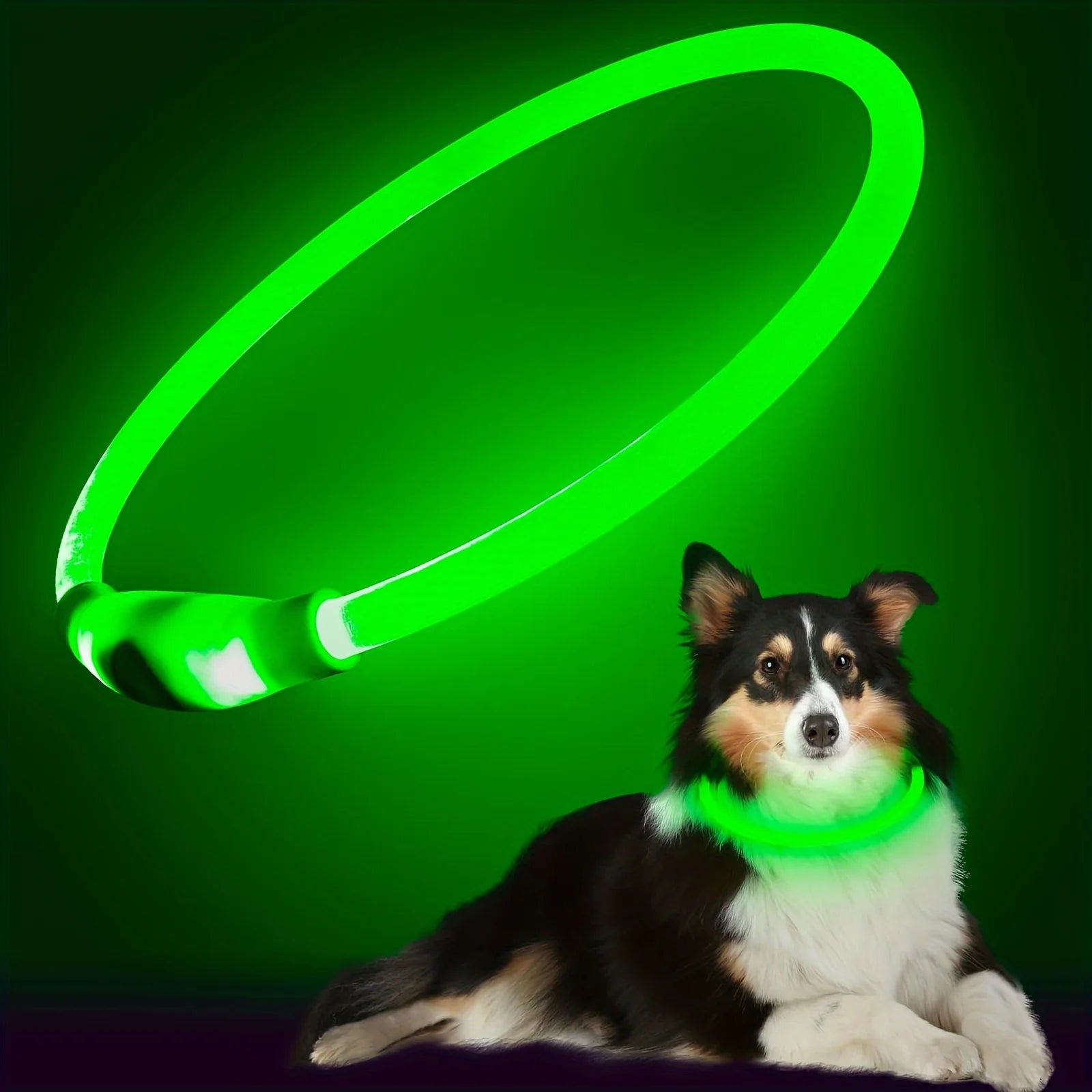 Pet Dog LED Light Collar Luminous Anti-Lost Dog Collar Pet Collar USB Rechargeable Dog Necklace Collar