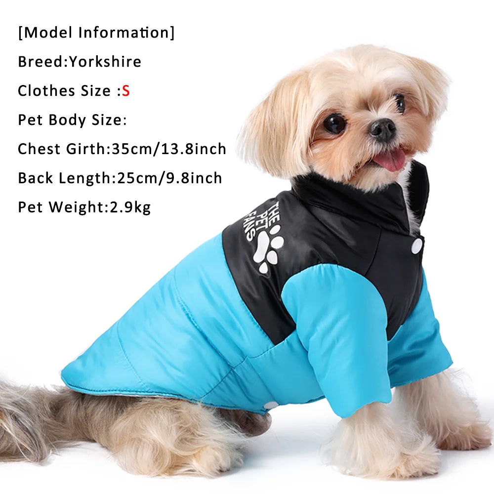 Autumn Winter Pet Cat Coat For Small Medium Cats Dogs Windproof Kitten Warm Clothes Sphynx Apparel Chihuahua Jacket Cat Outfits
