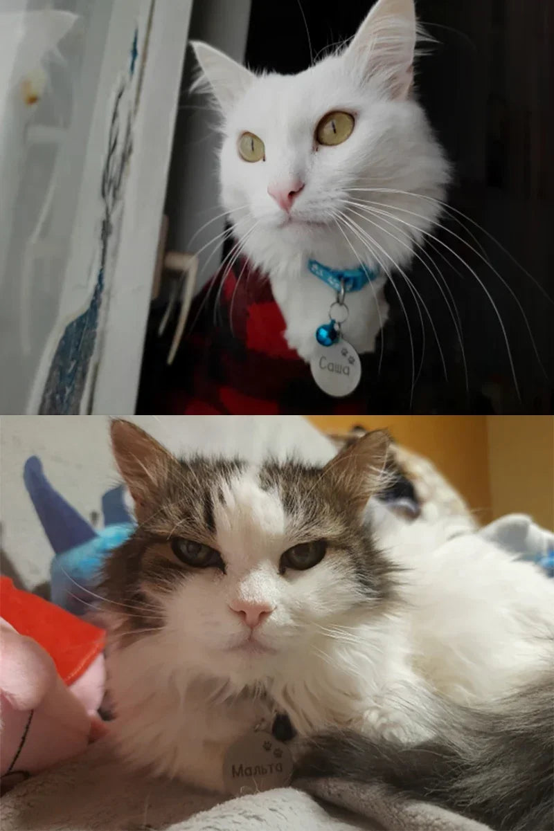 Custom Tags Personalized Cat Puppy ID Tag Free Engraved Pet Dog ID Tag Pet Dog Collar Accessories Custom Dogs Anti-lost Name Tags Pendant