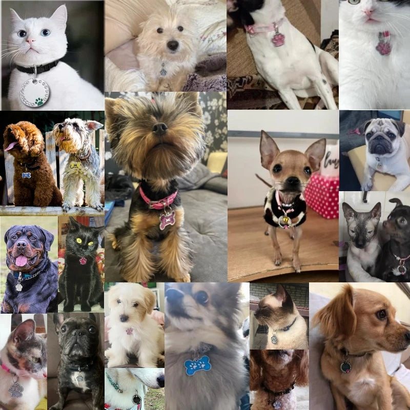 Personalized Custom ID Tag Pet Address Tags For Dogs Cats Engraved Collar Pendant Name Dog Tag Dogs Accessories Cats Items Custom Tags