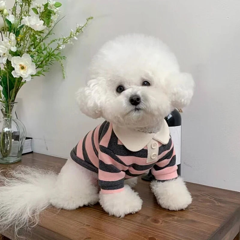 name-branded clothes Fashion Pet Dog Striped Shirt Summer Puppy Clothes Cute Cat Vest Breathable Dog Thin Shirt Pet Kitten Clothing Chihuahua Clothes