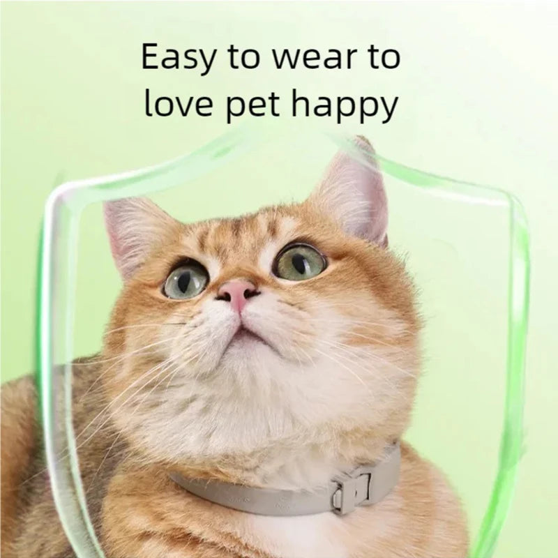 Pet essential oil collar, Pet Collar washable, cat collar with adjustable buckle, dog collar, pet accessory, sturdy and durable, cat collar