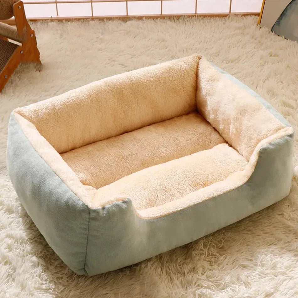 Pet Bed  Cats Pet Products Cushions Kitten Goods Accessories Dog All Home Supplies Things Accessory Habitats Basket House Beds