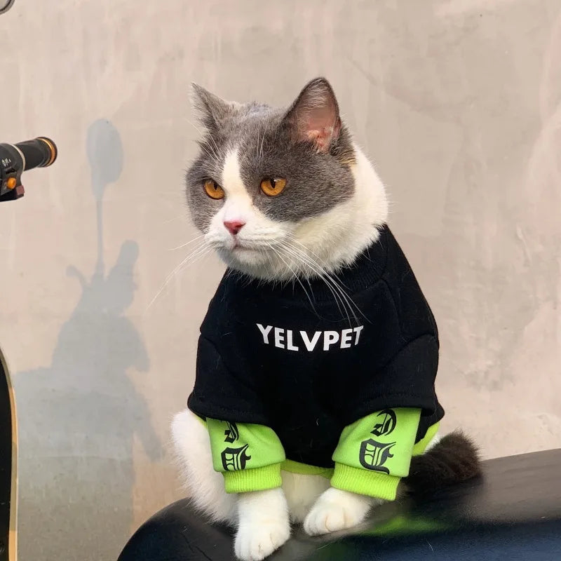 Pet Hoodies for Dogs Cats Spring Dog dog hoodie Clothes Chihuahua Bichon Poodle Dog Sweatshirt Solid Montage Puppy Clothing Pet Costumes