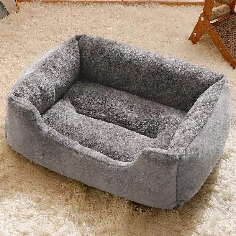 Pet Bed  Cats Pet Products Cushions Kitten Goods Accessories Dog All Home Supplies Things Accessory Habitats Basket House Beds
