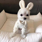 Pet Hooded Ear Hoodie Dog Clothes for Autumn and Winter Teddy Bear Pet Pullover Hoodie Cute Base Shirt Puppy Clothes