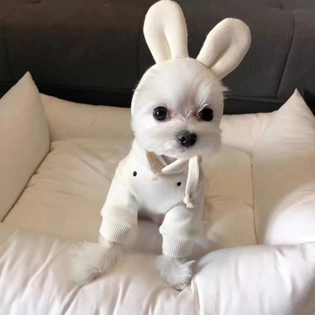 Pet Hooded Ear Hoodie Dog Clothes for Autumn and Winter Teddy Bear Pet Pullover Hoodie Cute Base Shirt Puppy Clothes
