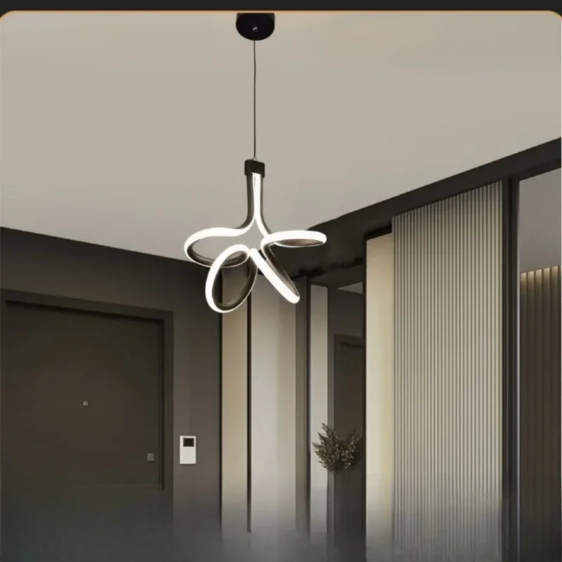 Modern Minimalist Bedroom Dining Room Foyer Entrance Balcony Aisle Corridor Chandelier