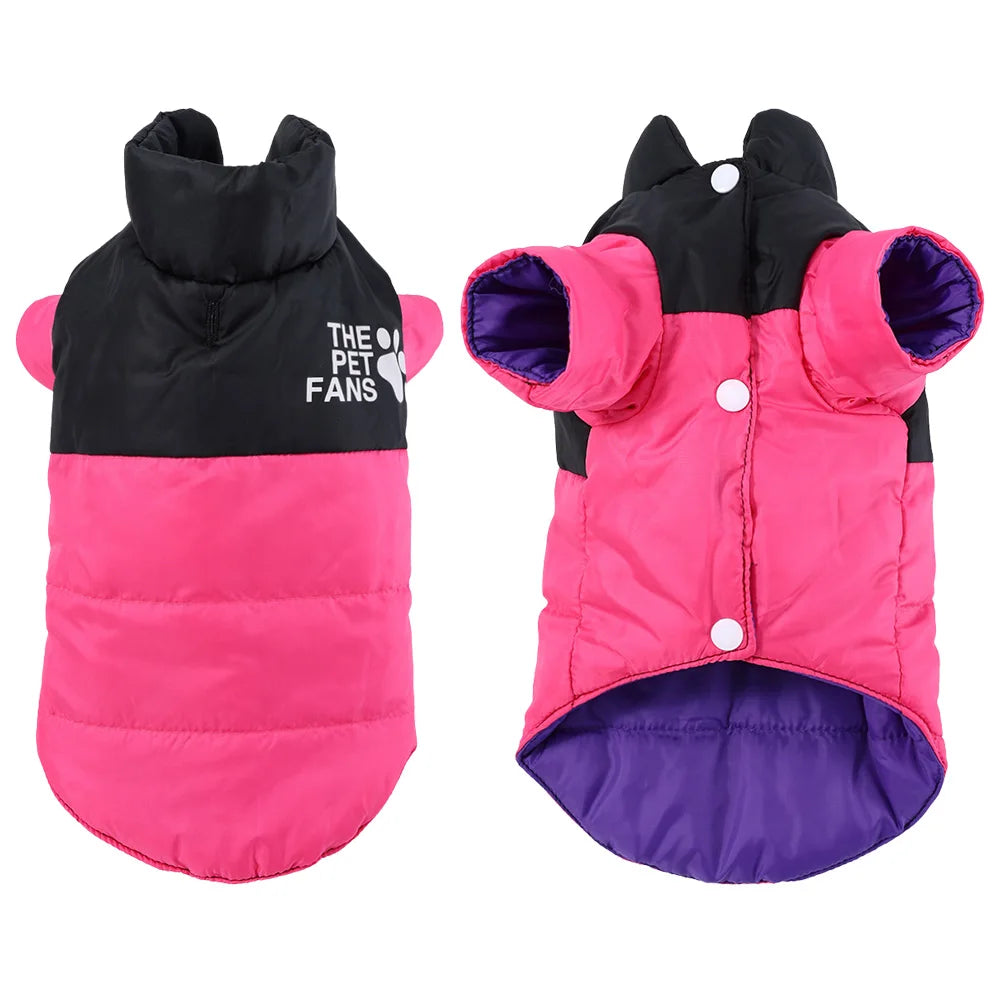Autumn Winter Pet Cat Coat For Small Medium Cats Dogs Windproof Kitten Warm Clothes Sphynx Apparel Chihuahua Jacket Cat Outfits