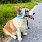 Pet Hats with Ear Holes Adjustable Baseball for Medium Small Dogs Summer Dye Cats Sun Cap Pet Outdoor Hat Supplies