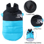 Autumn Winter Pet Cat Coat For Small Medium Cats Dogs Windproof Kitten Warm Clothes Sphynx Apparel Chihuahua Jacket Cat Outfits