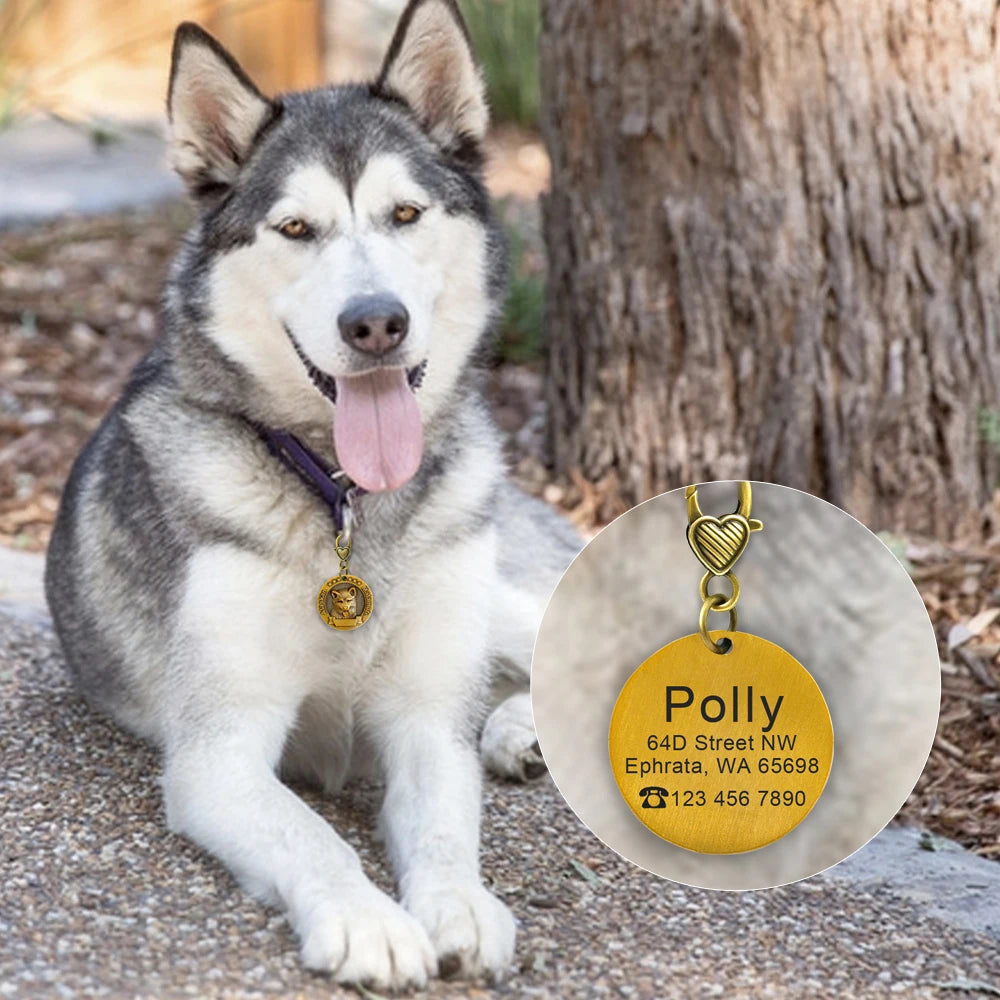 Custom Tags Personalized Dog ID Tag Custom Copper Coated Metal Engraved Large Dog Name Tags Pet Accessories for Labrador