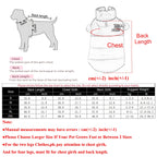 Autumn Winter Pet Cat Coat For Small Medium Cats Dogs Windproof Kitten Warm Clothes Sphynx Apparel Chihuahua Jacket Cat Outfits