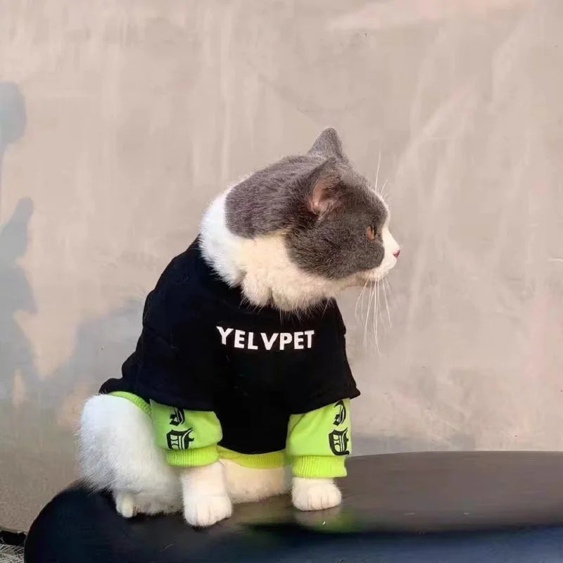 Pet Hoodies for Dogs Cats Spring Dog dog hoodie Clothes Chihuahua Bichon Poodle Dog Sweatshirt Solid Montage Puppy Clothing Pet Costumes
