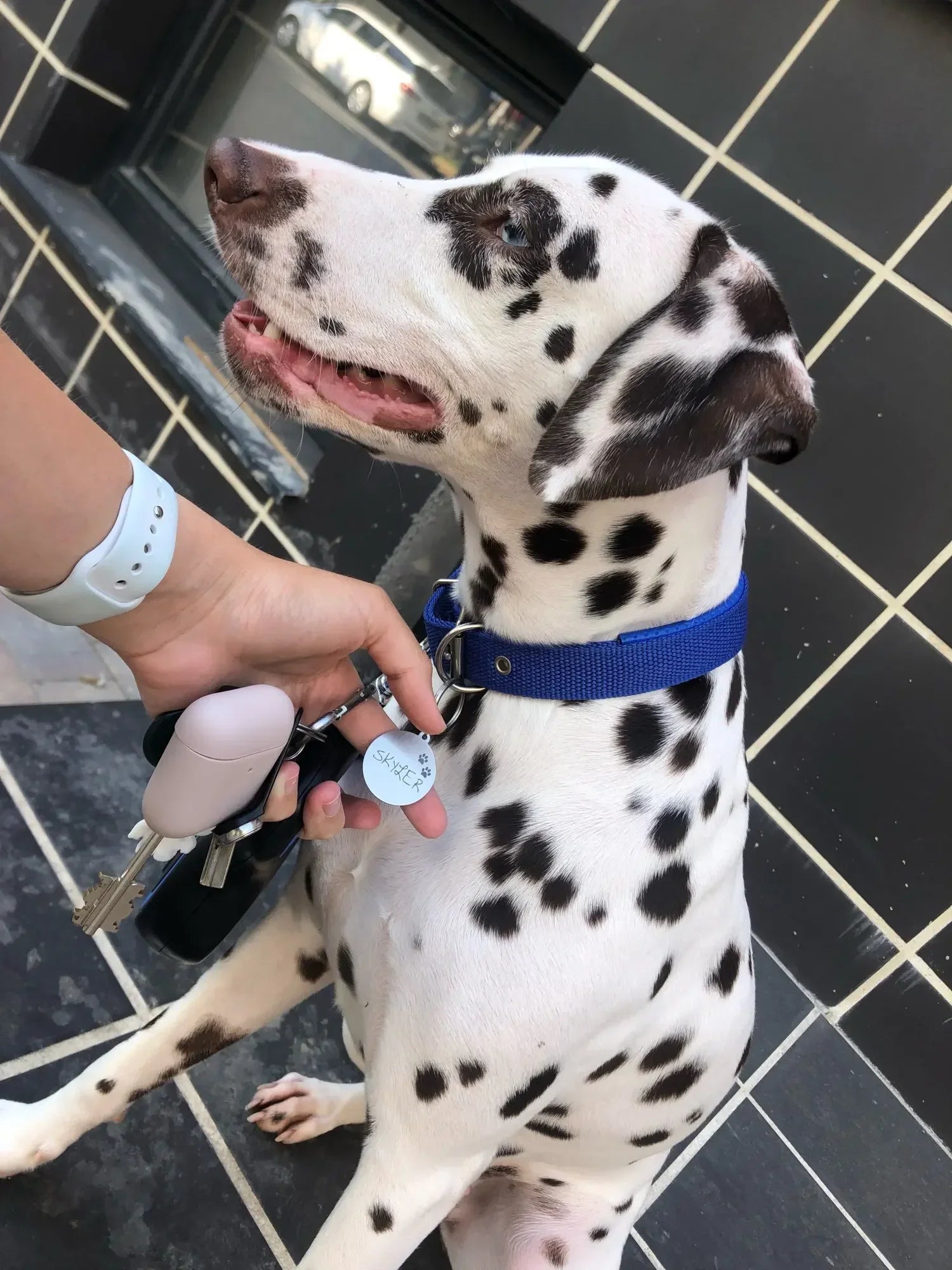 Custom Tags Personalized Cat Puppy ID Tag Free Engraved Pet Dog ID Tag Pet Dog Collar Accessories Custom Dogs Anti-lost Name Tags Pendant