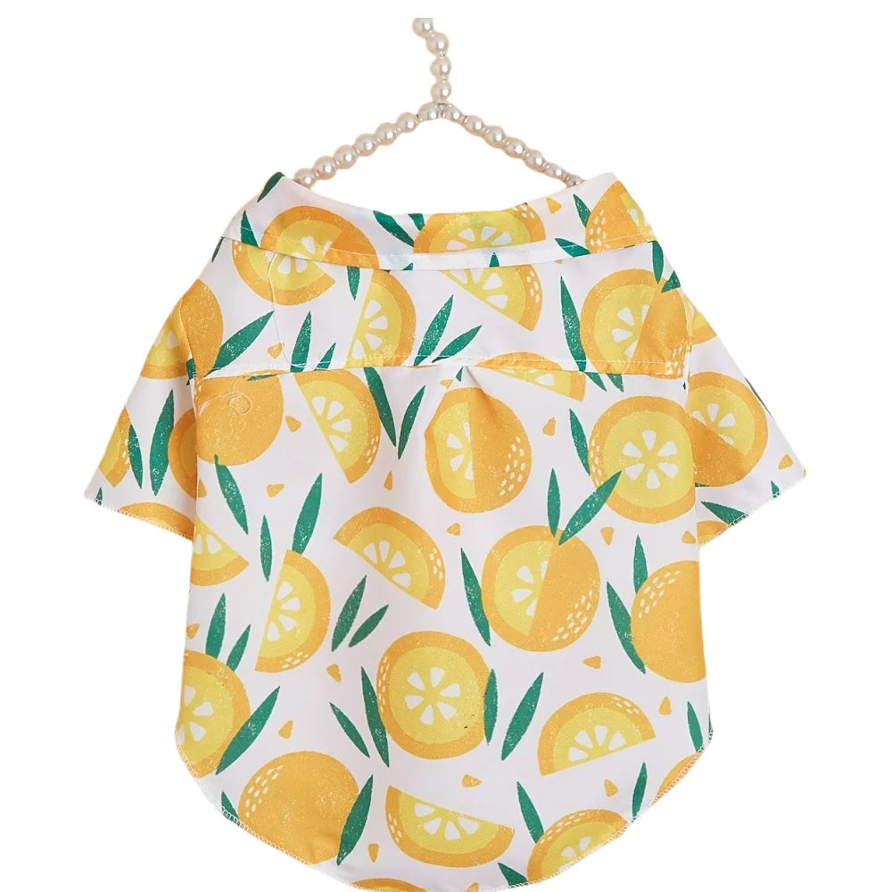 name-branded clothes Pet clothes, dog and cat shirts, lightweight, breathable, comfortable, orange pattern, simple, generous, fresh and cute, suitabl