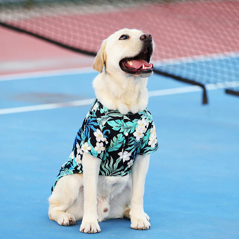 Pet Dog Clothes Puppy Vest T-shirt Shirt Cute Spring Pet Costume Roupas Para caes Bottoming Shirt Dog Costume Puppy Clothes